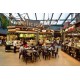 Food Service & Restaurant Food Service & Restaurant